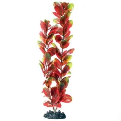 Underwater Treasures Red/Green Bacopa - 16"