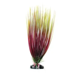 Underwater Treasures Red/Green Hairgrass - 12"