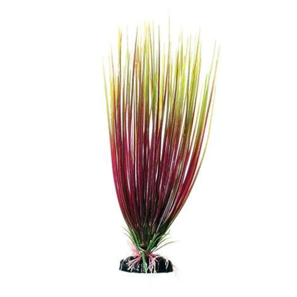 Underwater Treasures Red/Green Hairgrass - 12"