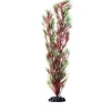 Underwater Treasures Red/Green Springeri - 16"