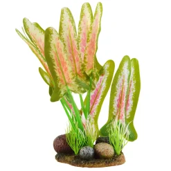 Underwater Treasures Red/White Arrowhead - Medium