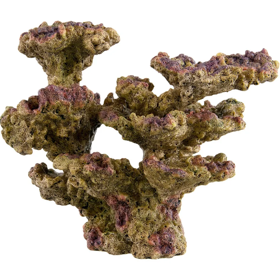 Underwater Treasures Reef Shelf