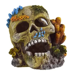 Underwater Treasures Reef Skull
