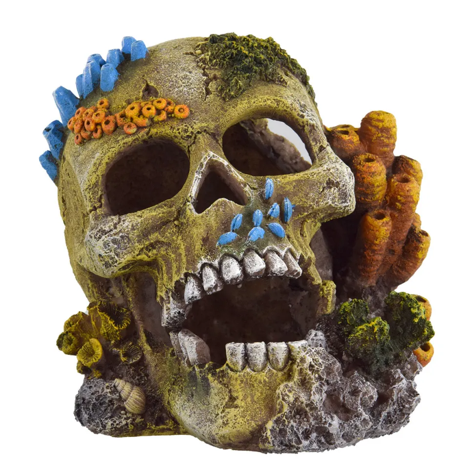 Underwater Treasures Reef Skull