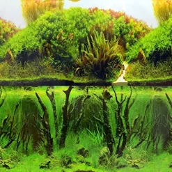 Underwater Treasures Rolling Hills/Mystic Forest Reversible Background - 20" - Sold by the Foot - 50 Feet