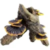 Underwater Treasures Root with Mushroom - Medium