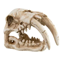 Underwater Treasures Sabertooth Skull