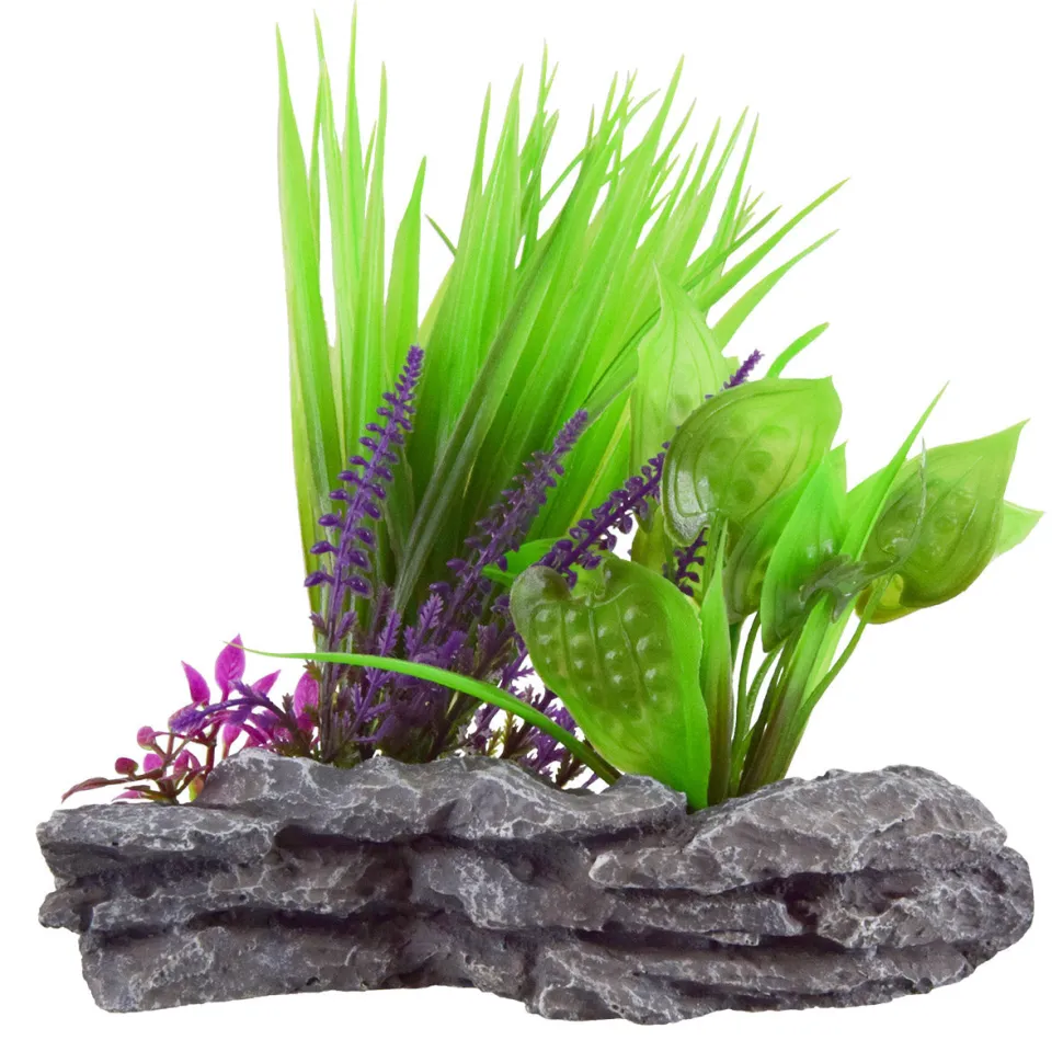 Underwater Treasures Sagittaria Mound