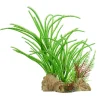 Underwater Treasures Sawblade Ferns