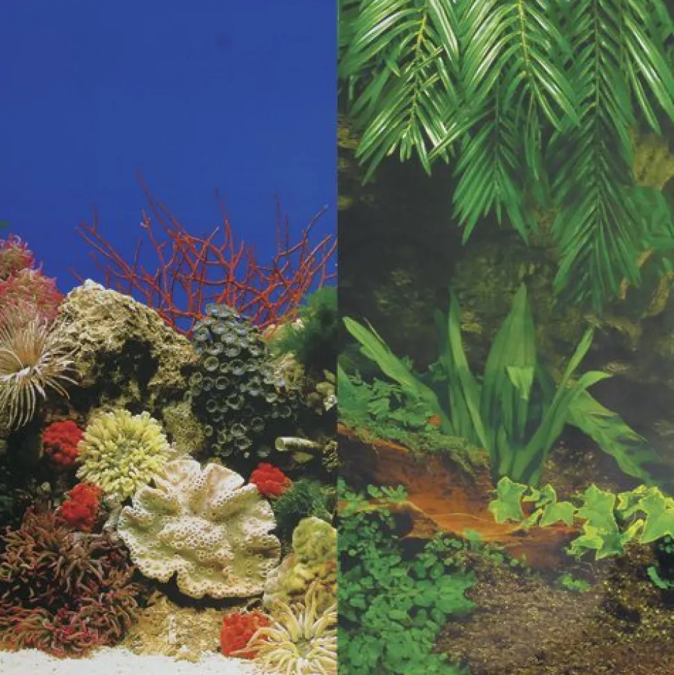 Underwater Treasures Sea Floor/Creeping Vines Reversible Background - 24" - Sold by the Foot - 50 Feet