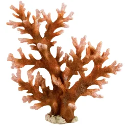 Underwater Treasures Staghorn - Large