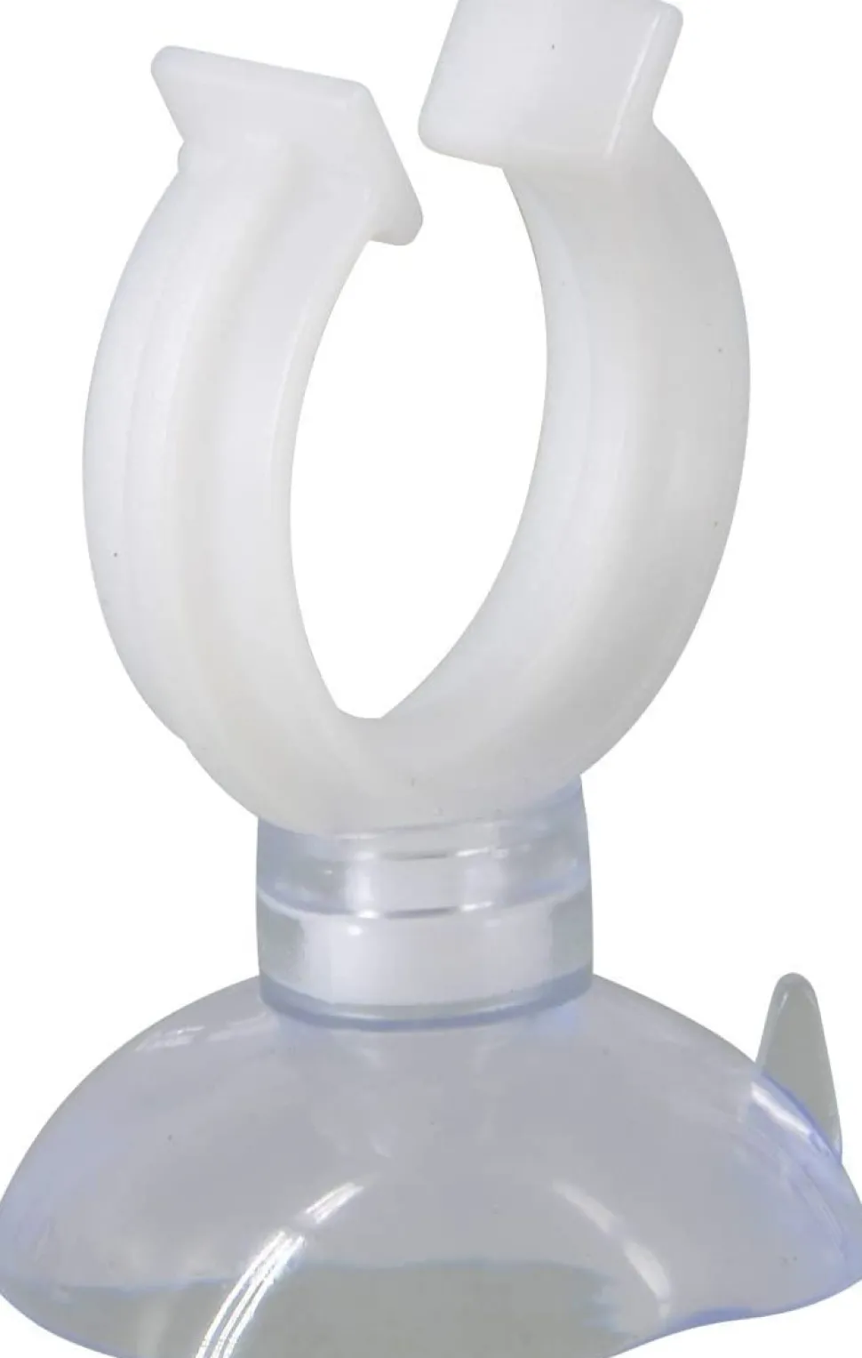 Underwater Treasures Suction Cup - Large - Pack of 24