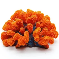 Underwater Treasures Toadstool Coral - Sunset