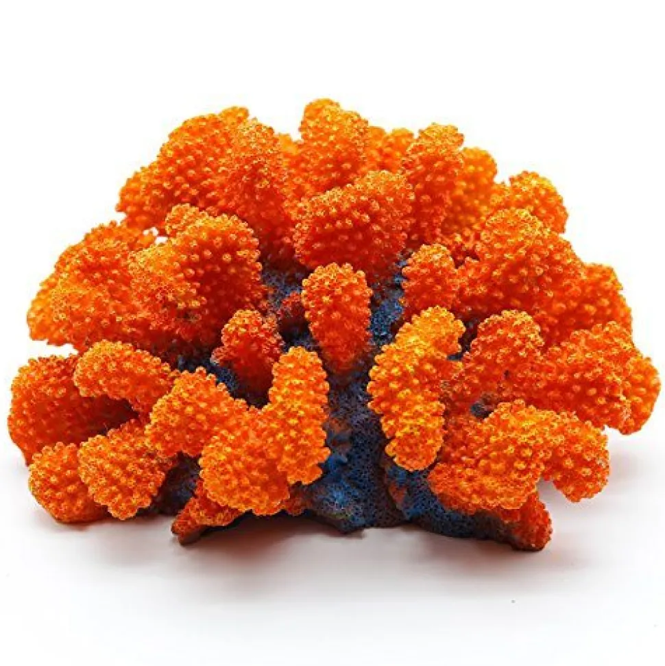 Underwater Treasures Toadstool Coral - Sunset