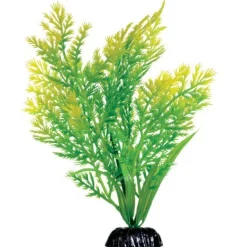 Underwater Treasures Water Violet - 8"