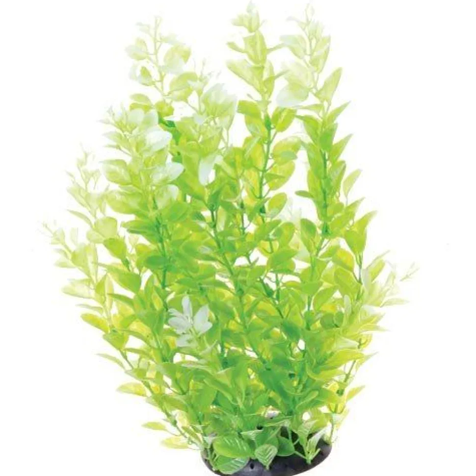 Underwater Treasures White Tipped Cardamine - 12"