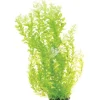 Underwater Treasures White Tipped Cardamine - 24"