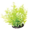 Underwater Treasures White Tipped Cardamine - 6"