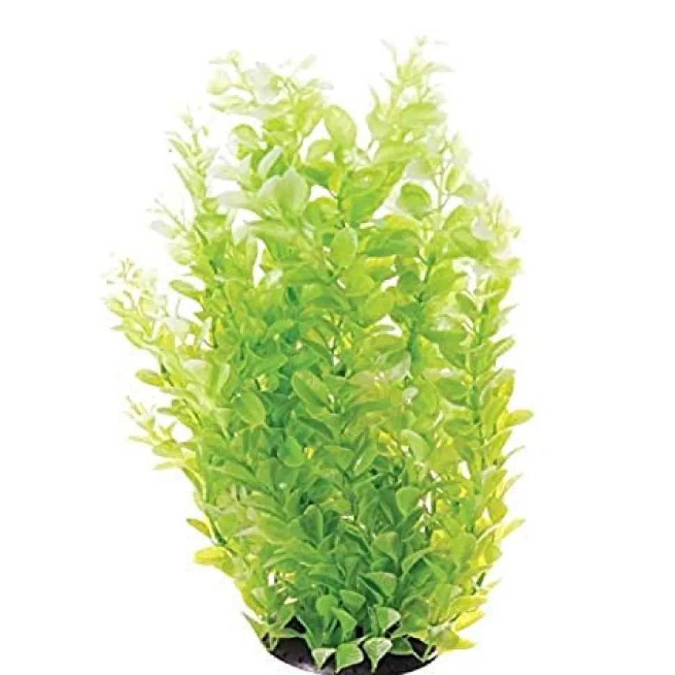 Underwater Treasures White Tipped Cardamine - 16"