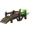 Underwater Treasures Wooden Dock