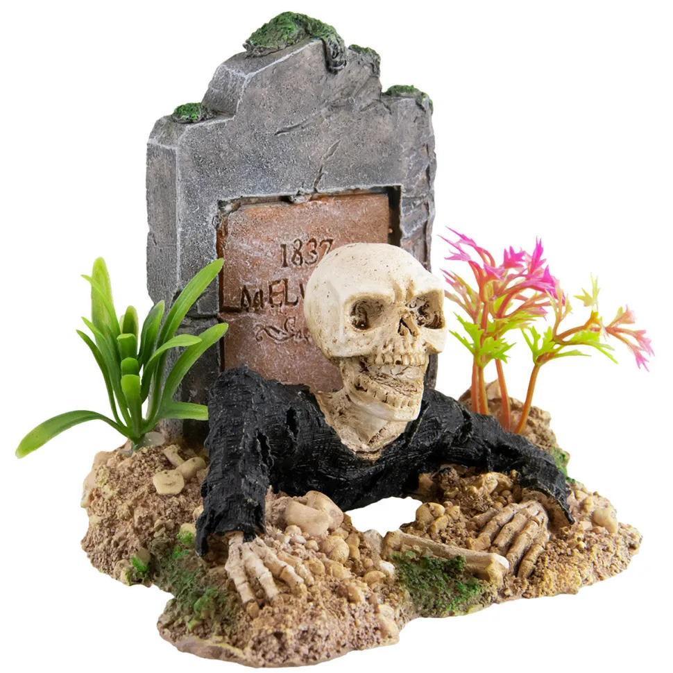 Underwater Treasures Zombie Skeleton