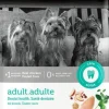 Vetdiet Adult Dental Care All Breed Chicken & Rice Formula