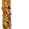 Vitapol Smakers Treat Stick Cockatiel Bird Sticks - Fruit - 2 Pack
