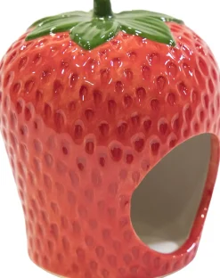 Ware Berry Hamster Hideout Small Animal Hideaway -