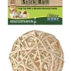 Ware Nutty Stick Ball Treat Small Animal Chewy Treats - Medium