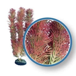 Weco Products Freshwater Pro Series Cabomba Aquarium Plant - Red - 18 in