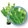 Weco Products Freshwater Pro Series Amazon Ruffled Sword Aquarium Plant - Green - 18 in
