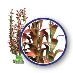 Weco Products Freshwater Series Hygrophilia Aquarium Plant - Red - 18 in