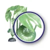 Weco Products Freshwater Series Tiger Lotus Aquarium Plant - Green - 18 in