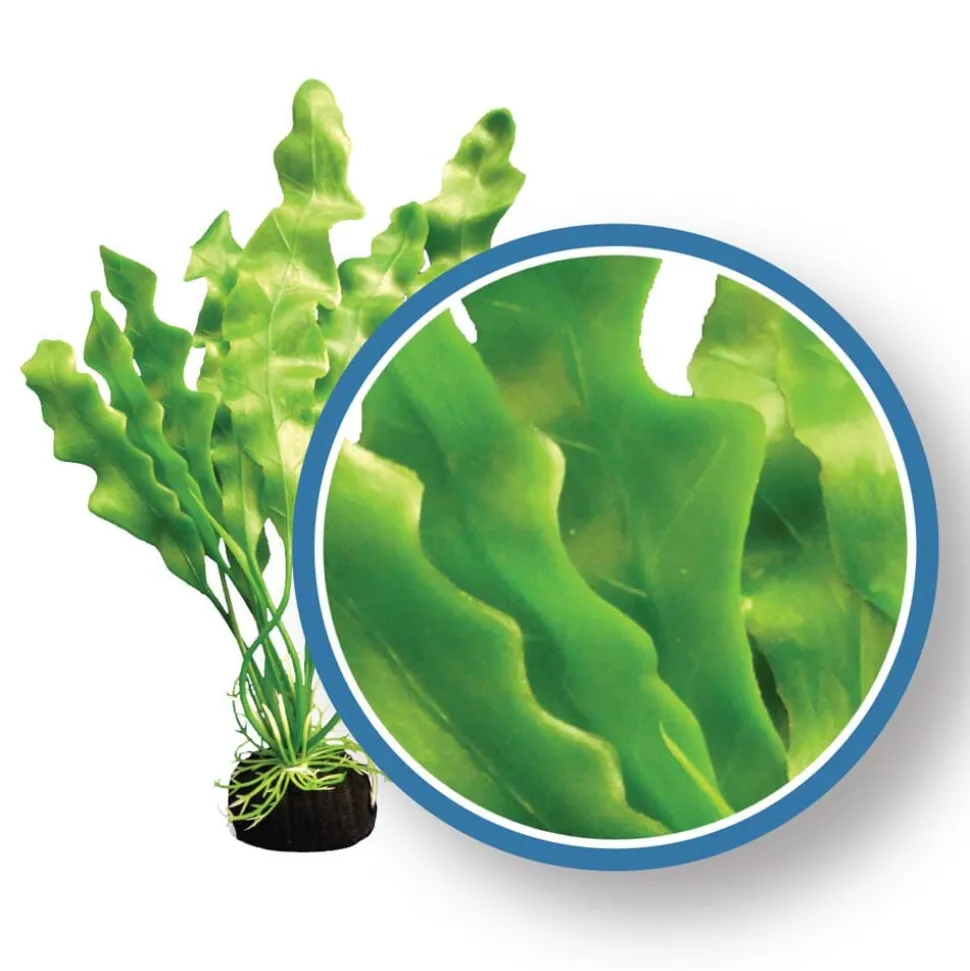 Weco Products Freshwater Pro Series Amazon Ruffled Sword Aquarium Plant - Green - 24 in