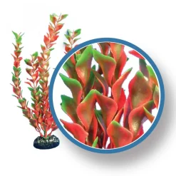 Weco Products Freshwater Pro Series Ludwigia Aquarium Plant - Red - 24 in