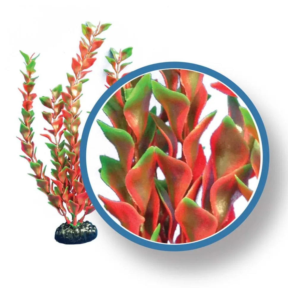 Weco Products Freshwater Pro Series Ludwigia Aquarium Plant - Red - 24 in