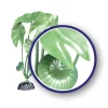Weco Products Freshwater Series Tiger Lotus Aquarium Plant - Green - 6 in
