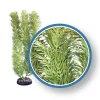 Weco Products Freshwater Pro Series Cabomba Aquarium Plant - Green - 18 in