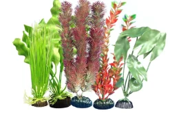 Weco Products Freshwater Aquarium Plant 105 Assorted - Multipack
