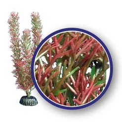 Weco Products Freshwater Series Foxtail Aquarium Plant - Red - 6 in