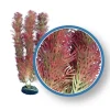 Weco Products Freshwater Pro Series Cabomba Aquarium Plant - Red - 12 in