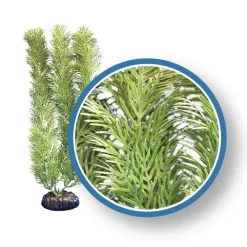 Weco Products Freshwater Pro Series Cabomba Aquarium Plant - Green - 12 in
