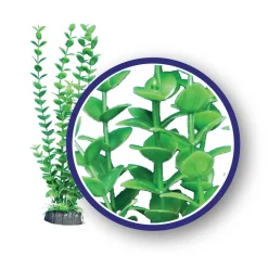 Weco Products Freshwater Series Bacopa Aquarium Plant - Green - 6 in