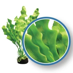 Weco Products Freshwater Pro Series Amazon Ruffled Sword Aquarium Plant - Green - 9 in
