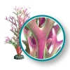 Weco Products Marine Pro Series Giant Kelp Aquarium Plant - Red - 6 in - Giant