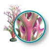 Weco Products Marine Pro Series Giant Kelp Aquarium Plant - Red - 9 in - Giant