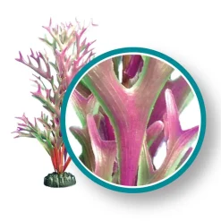 Weco Products Marine Pro Series Giant Kelp Aquarium Plant - Red - 9 in - Giant