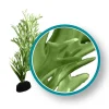 Weco Products Marine Pro Series Giant Kelp Aquarium Plant - Green - 9 in - Giant