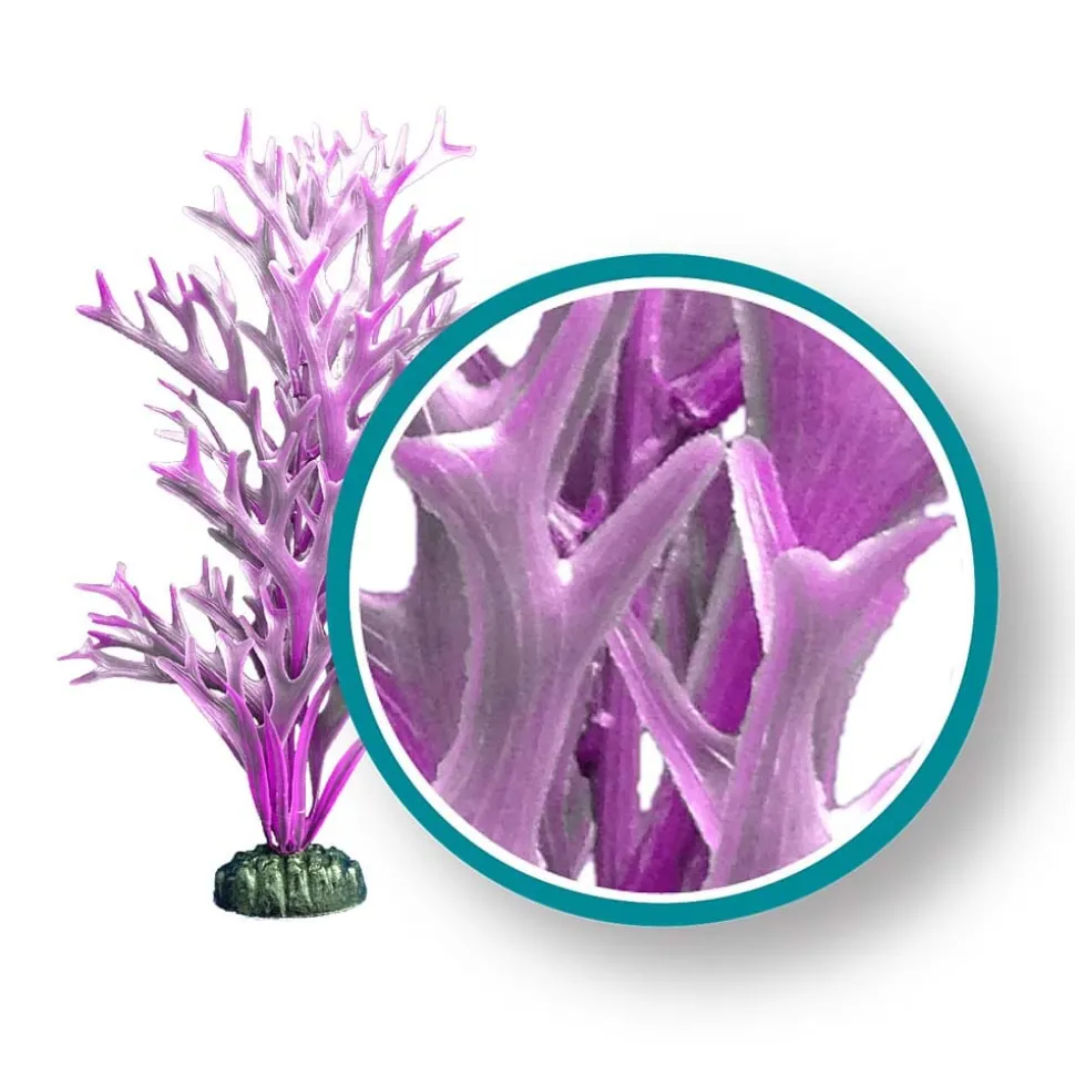 Weco Products Marine Pro Series Giant Kelp Aquarium Plant - Purple - 6 in - Giant