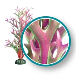 Weco Products Marine Pro Series Giant Kelp Aquarium Plant - Red - 6 in - Giant
